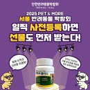 스텔라애견미용학원