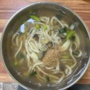 울릉도민한테 추천받은 따개비칼국수 맛집 - 신애분식
