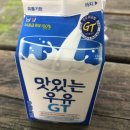 마시카롱 하양점 이미지