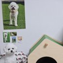 뽀삐네 | 쉽고 빠른 인쇄 프린트랩 후기 소량 제본도 가능한 자동견적에 친절한 상담까지