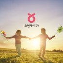 오앤케이 - 강남구 | 오앤케이