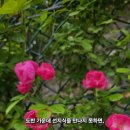 도반 Daum카페