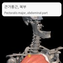 나눌 개봉점 네이버블로그