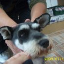 신수중학교 이미지