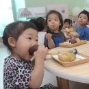 맑은샘어린이집 - 안양시 만안구 | 맑은샘어린이집
