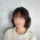 숩틸 이미지