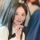 박정연 카카오 검색결과