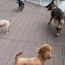 온누리 동물의료센터 이미지