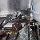 전일맥주 산북점 이미지