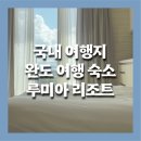 주식회사 루미아호텔앤리조트 | [완도여행] 완도 숙소 루미아호텔 앤 리조트 내돈내산 숙박후기