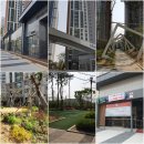경기도 광명시 임장 후기 (일직동 소하동)