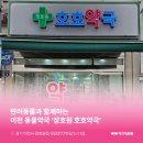 호호약국 네이버블로그