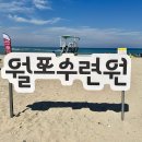 월포가 이미지