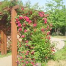 신길근린공원 이미지