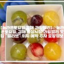 [놀라운토요일 김해 과일젤리]📌놀라운토요일, 김해 동상시장 과일젤리 맛집 “젤리브” 위치 예약 주차 포장정보 이미지