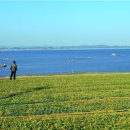 남해빌딩 이미지