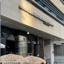 서울양고기 | 서울 송파 양고기 데블스램 문정점 프렌치렉 식사 후기