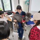 보정동물병원 이미지