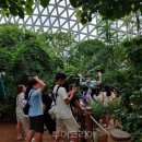 거제식물원 이미지