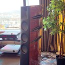 원프로카오디오 | 오디오엑스포서울 2025 시연기기 청음후기 총정리