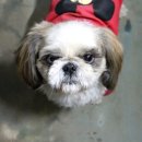 대지농산 이미지