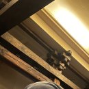 앙큼여우 이미지