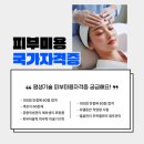 올댓뷰티아카데미 신촌에서 피부관리사자격증, 2개월 만에 따는 현실 꿀팁!