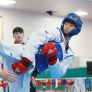 국가대표에이스태권도