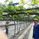 은원농장 이미지