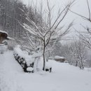 사계절풍경 이미지