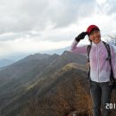 건강 정착민