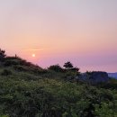 장산