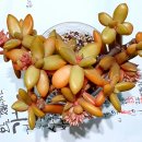 천우다육