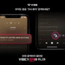 바이브윈