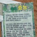 우리24시 이미지