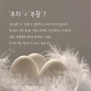 (하나님의 교회)예수님의 부활절과 이스터의 부활절 이미지