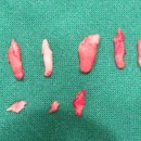 동물병원 비아츠 이미지