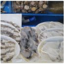 보성회센터 이미지