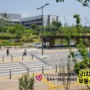 소담동 한국전력공사 앞 이미지