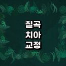 칠곡군 치아교정 잘하는 전문치과 병원 추천 | 비용 후기 설측교정 돌출입 앞니 투명 무턱 부분 교정기...