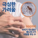 지움제주점