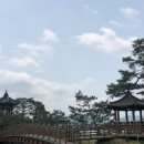 양산심천로 네이버블로그