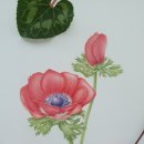 보태니컬 아트 전문가 이미지