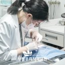 부평문화로 이미지