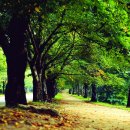 순음보청기 이미지