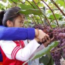 황토축산 이미지