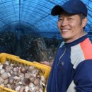 도은농장 이미지