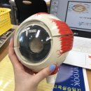 부산가톨릭대학교 생명과학대학원 | 삼육대학교 동물생명자원학과 (축산학과) 입학부터 졸업까지!