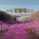 종합운동장 사거리 롯데마트 앞 | 경기도 부천 원미산 진달래동산 개화 상태 혼잡도 관람 동선 실제 방문 후기