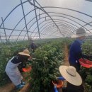 대산면행정복지센터 이미지